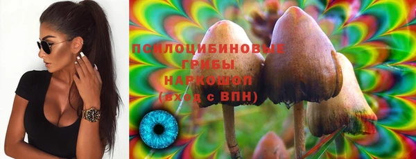 молекула духа Армянск