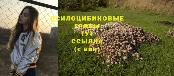 хмурый Арсеньев