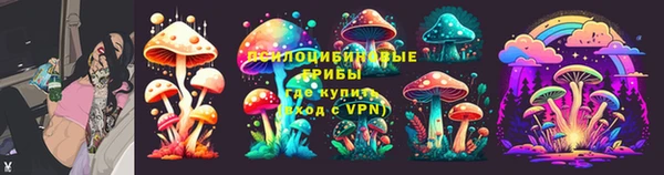хмурый Арсеньев
