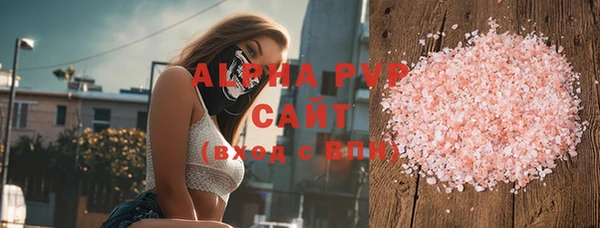 хмурый Арсеньев
