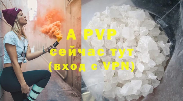 хмурый Арсеньев