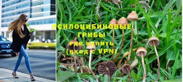хмурый Арсеньев