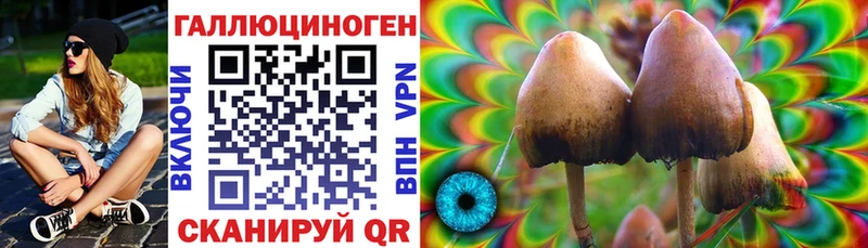 Псилоцибиновые грибы прущие грибы  Байкальск 
